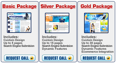 Web Site Design Packages